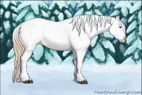 Horse Color:Chestnut Appaloosa