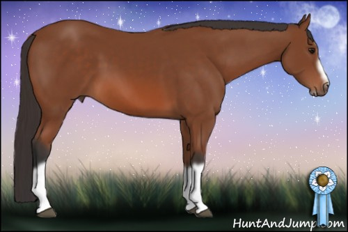 Horse Color: Bay Splash Frame 
