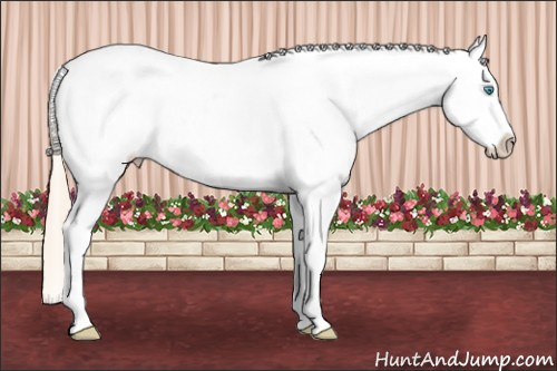 Horse Color: White Spotted Perlino Varnish 