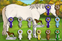 Horse Color:White Spotted Perlino Dun Sabino Splash 