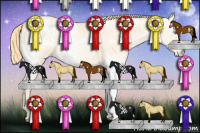 Horse Color:White Spotted Buckskin Pearl Dun
