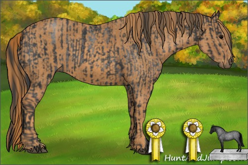 Horse Color: Blue Roan Sabino Rabicano  Brindle