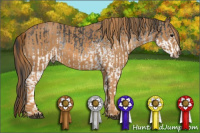 Horse Color:White Spotted Blue Roan Rabicano Brindle