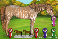 Horse Color:White Spotted Blue Roan Rabicano  Brindle