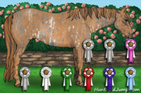 Horse Color:White Spotted Blue Roan Rabicano  Brindle