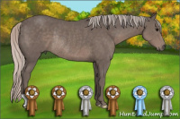 Horse Color:Silver Black Rabicano 