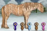 Horse Color:Smoky Black Pearl Rabicano  Brindle