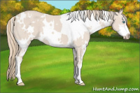 Horse Color:White Spotted Smoky Creme Sabino