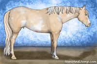 Horse Color:White Spotted Palomino Pearl Frame 