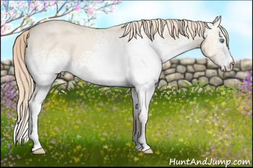 Horse Color: White Spotted Perlino Dun 
