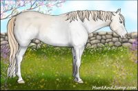 Horse Color:White Spotted Perlino Dun 