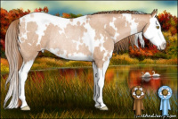 Horse Color:White Spotted Bay Roan Pearl Splash Rabicano