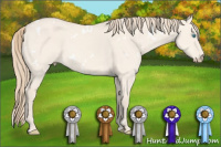 Horse Color:White Spotted Perlino Dun Sabino 