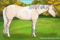 Horse Color:Silver Buckskin Pearl Dun Tobiano