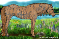 Horse Color:White Spotted Blue Roan Rabicano  Brindle