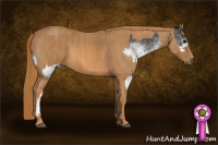 Horse Color:White Spotted Blue Roan Rabicano  Brindle
