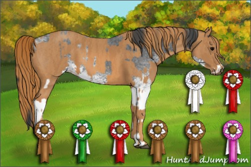 Horse Color: Unknown 