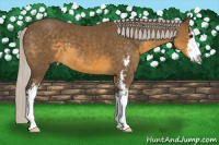 Horse Color:Silver Buckskin Sabino