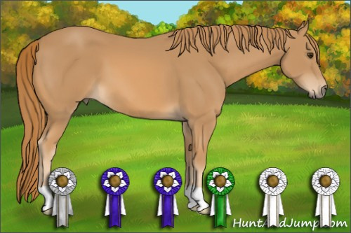 Horse Color: Chestnut 