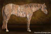 Horse Color:White Spotted Blue Roan Rabicano  Brindle