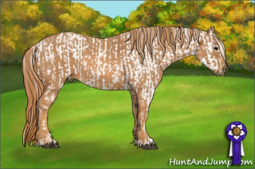 Horse Color: Bay Roan Splash Tobiano Blanket  Brindle