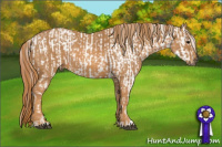 Horse Color:Bay Roan Splash Tobiano Appaloosa Brindle