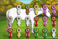 Horse Color:Grullo Roan Splash Near Fewspot 