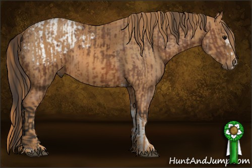 Horse Color: Bay Splash Tobiano Blanket  Brindle