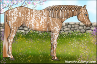 Horse Color:Bay Splash Tobiano Blanket  Brindle