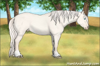 Horse Color:Cremello Dun Sabino