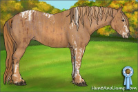 Horse Color:Bay Splash Tobiano Blanket  Brindle