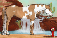 Horse Color:Bay Splash Tobiano Near Leopard  Brindle