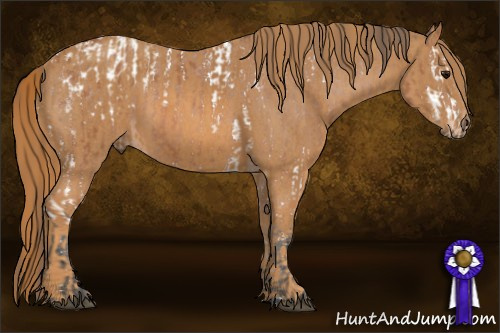 Horse Color: Bay Splash Tobiano Blanket  Brindle