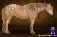Horse Color:Bay Splash Tobiano Blanket  Brindle