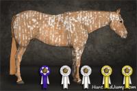 Horse Color:Bay Splash Tobiano Appaloosa Brindle