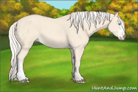 Horse Color:Cremello 