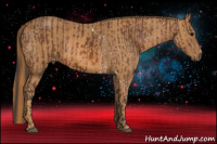 Horse Color:Bay Splash Tobiano Appaloosa Brindle