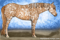 Horse Color:Silver Bay Splash Tobiano Appaloosa  Brindle