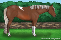 Horse Color:Silver Bay Tobiano