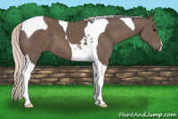 Horse Color:Silver Black Tobiano 