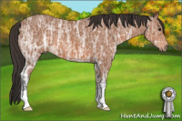 Horse Color:Bay Ice 