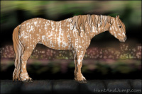 Horse Color:Bay Splash Tobiano Blanket  Brindle