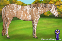 Horse Color:Brown Splash Tobiano Varnish  Brindle