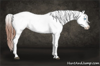 Horse Color:White Spotted Bay Roan Splash Frame Varnish 