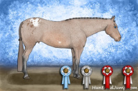 Horse Color:Bay Frame Appaloosa 