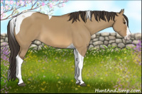 Horse Color:Buckskin Dun Splash Tobiano 