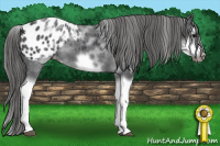 Horse Color:White Spotted Blue Roan Splash Frame Appaloosa