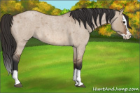 Horse Color:Bay Roan Dun Splash