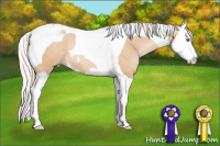 Horse Color:Silver Bay Pearl Dun Sabino Splash Tobiano 