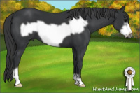 Horse Color:Black Frame